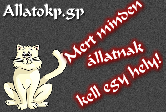 Allatokp.Gp - Mert minden llatnak kell egy hely!